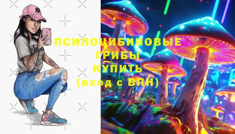 где найти   Лосино-Петровский  Галлюциногенные грибы Cubensis 